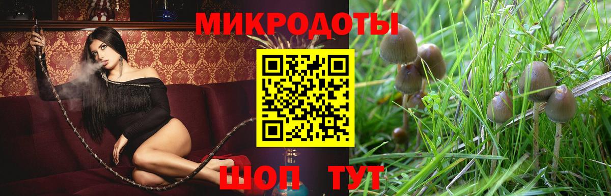 Фрязино  Псилоцибиновые грибы GOLDEN TEACHER  Вход с VPN 