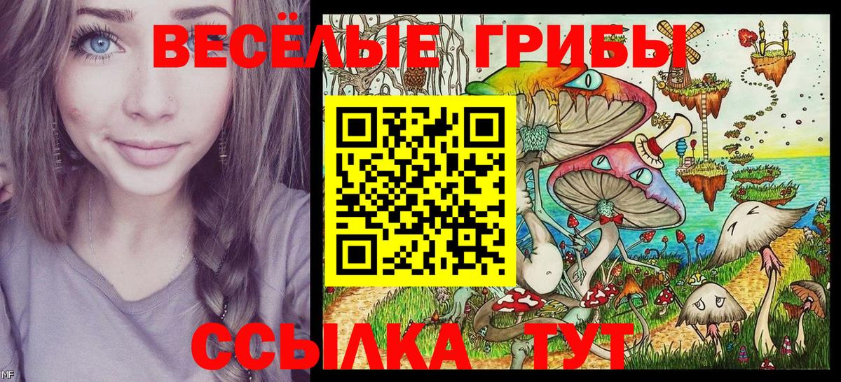 Псилоцибиновые грибы Magic Shrooms Фрязино